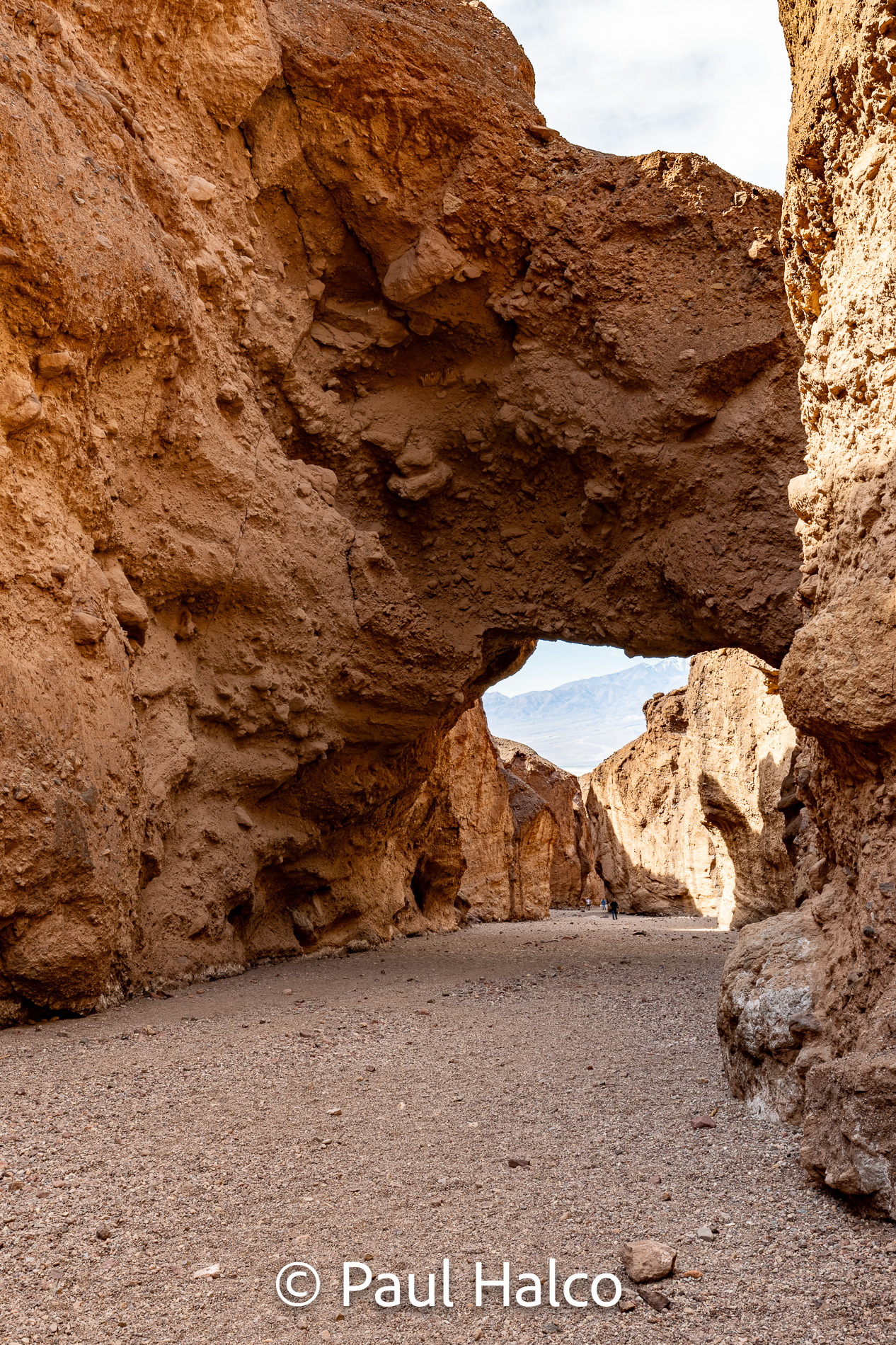 Paul Halco - Death Valley NP-1